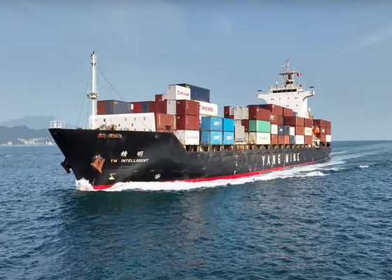 DDP DDU Ocean Freight Международная служба доставки грузов PTP Транспорт